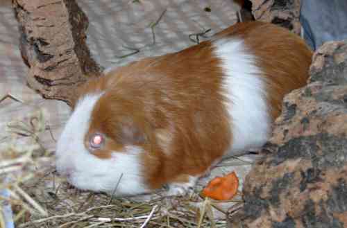 Barry