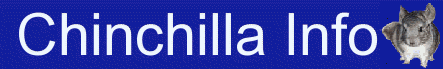 Chinchila Info Info