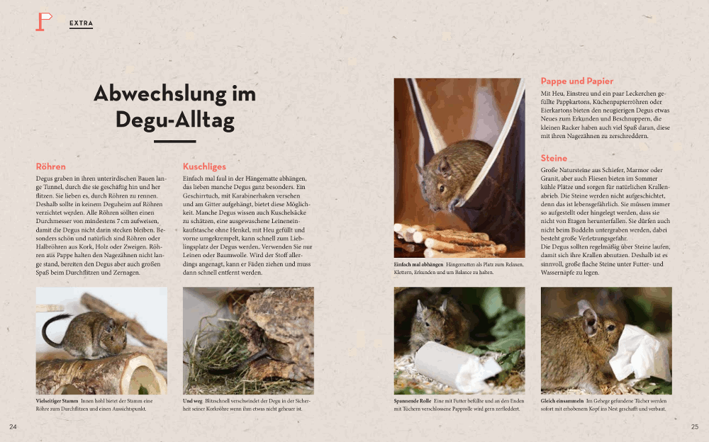  Degus: Halten, pflegen, verstehen Extra