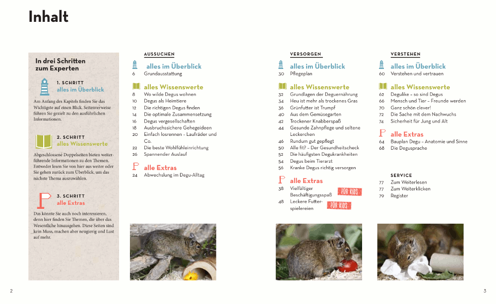  Degus: Halten, pflegen, verstehen Inhalt