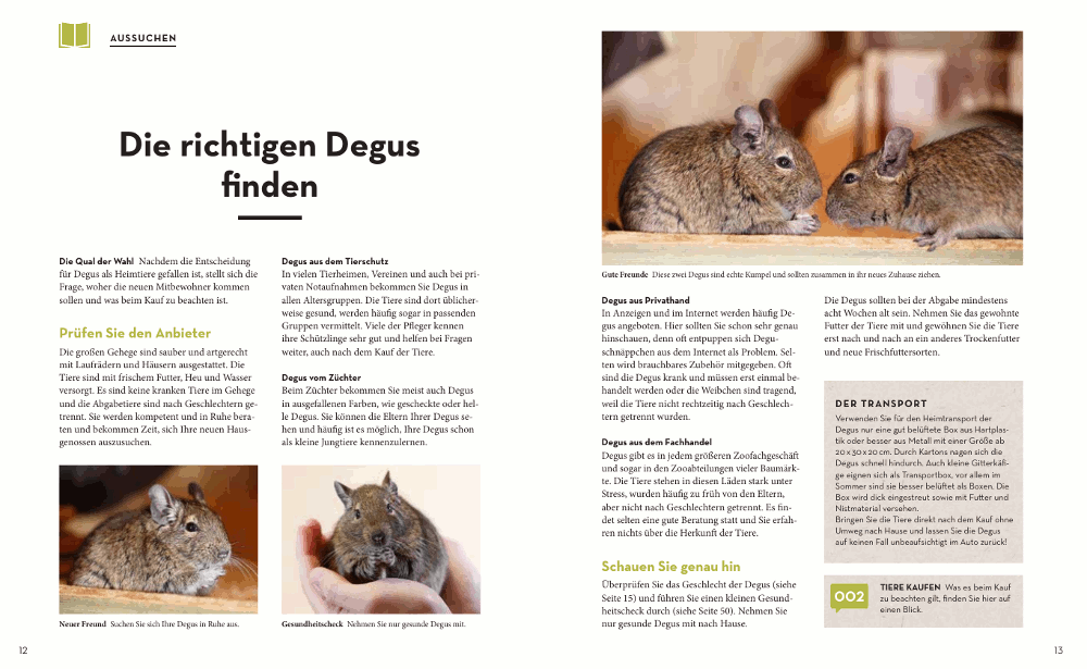  Degus: Halten, pflegen, verstehen Anschaffung