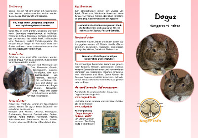 Degu Faltblatt