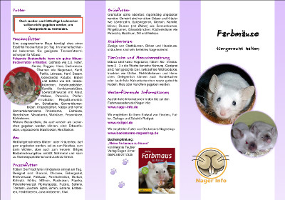 Farbmaus Flyer