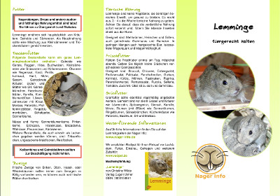 Lemming Faltblatt