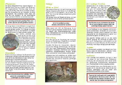 Lemming Faltblatt