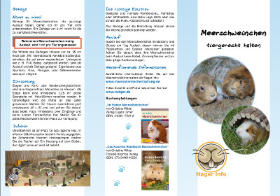 Meerschweinchen Faltblatt