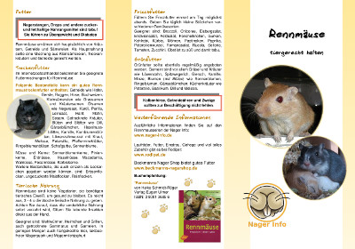 Rennmaus Faltblatt