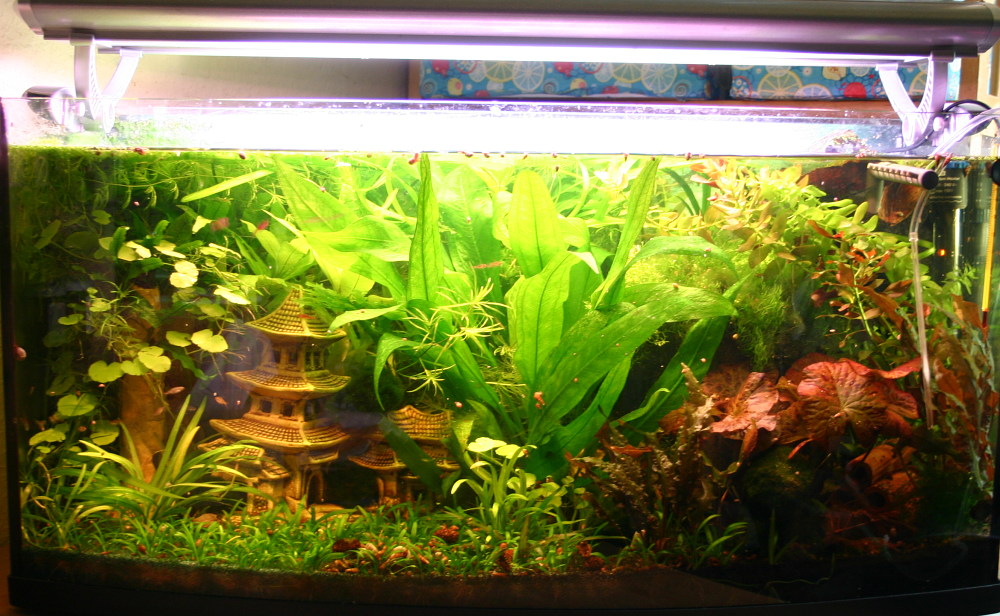 Aquarium