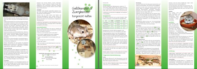 Hamster Flyer