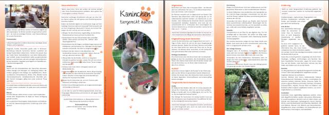 Kaninchen Flyer