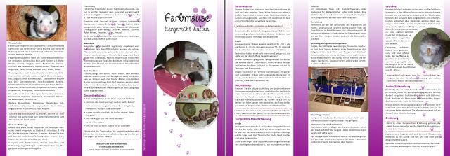 Farbmaus Flyer