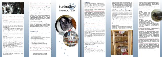 Ratten Flyer