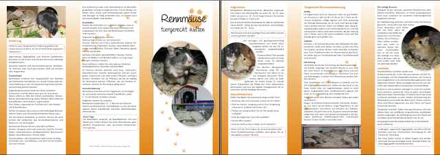 Rennmaus Flyer