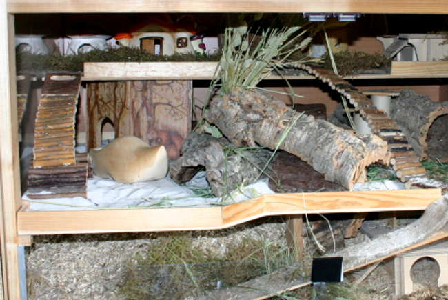 Serviettentechnik bei Hamsterbauten