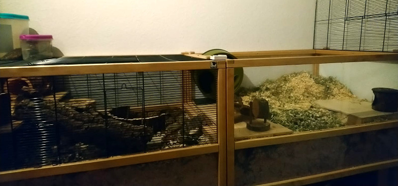 Goldhamstergehege