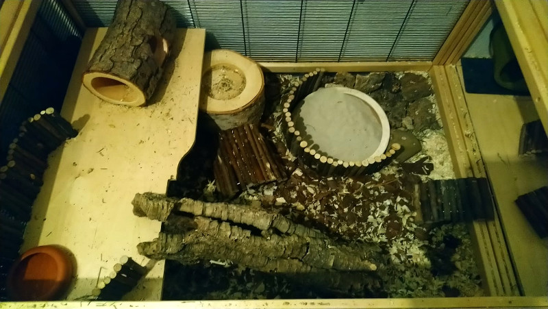 Goldhamstergehege