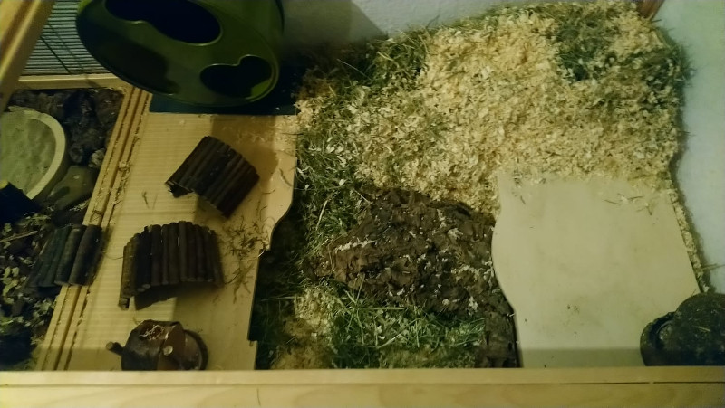 Goldhamstergehege