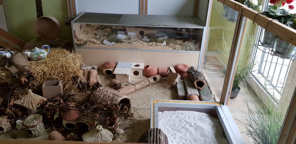 Goldhamstergehege