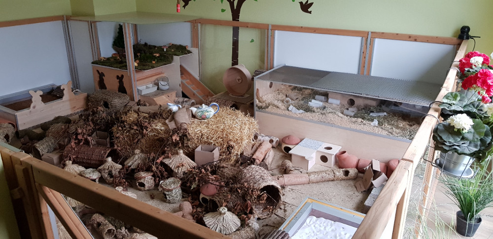 Goldhamstergehege