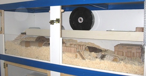 Hamstergehege