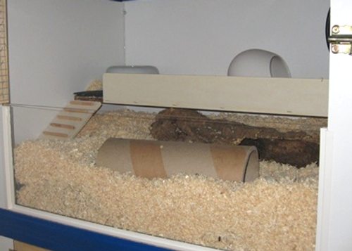 Hamstergehege