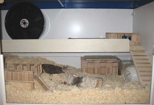 Hamstergehege
