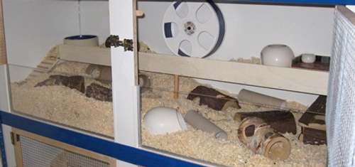 Hamstergehege