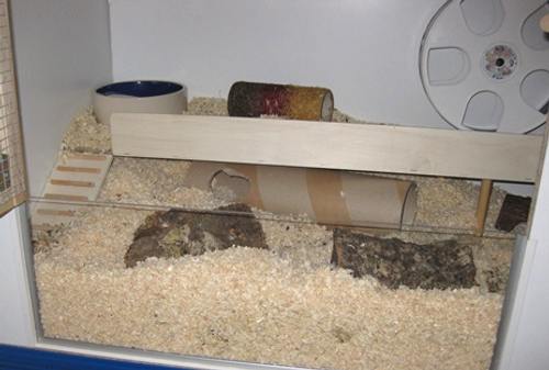 Hamstergehege
