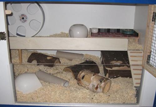 Hamstergehege