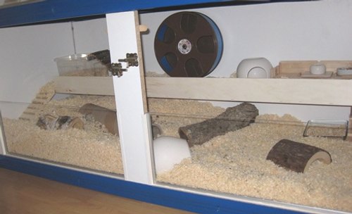 Hamstergehege