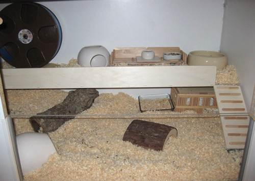 Hamstergehege