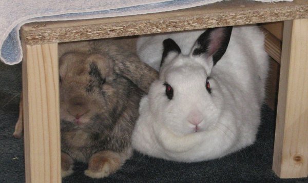 Beide zusammen unter Etage