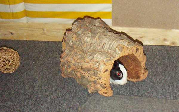 korktunnel