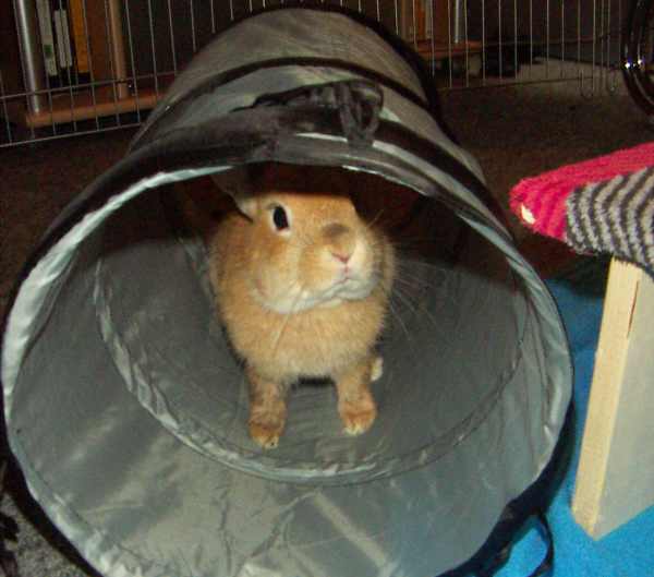 tunnel
