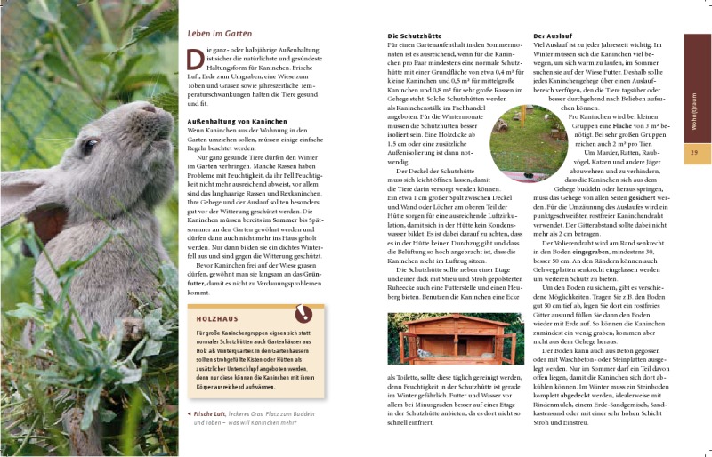 Ihr Hobby Kaninchen Au&szlig;enhaltung