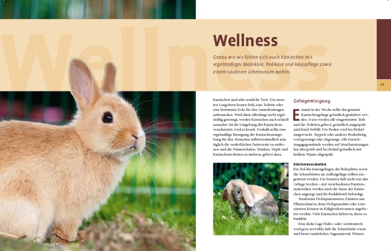 Ihr Hobby Kaninchen Wellness