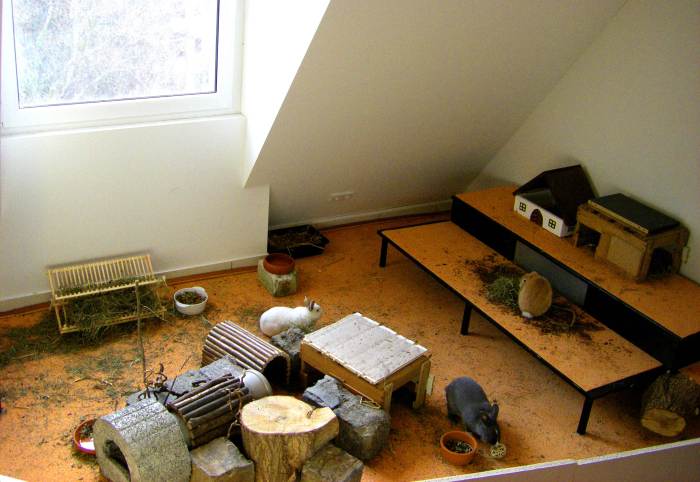 Kaninchenzimmer