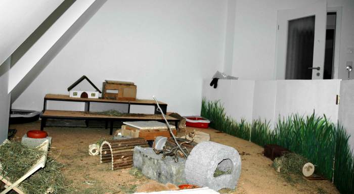Kaninchenzimmer