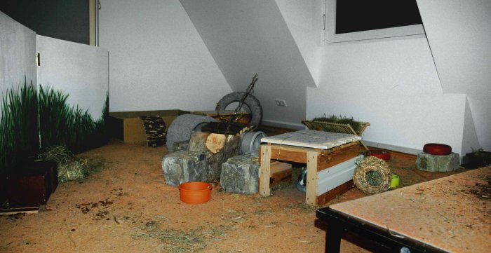 Kaninchenzimmer