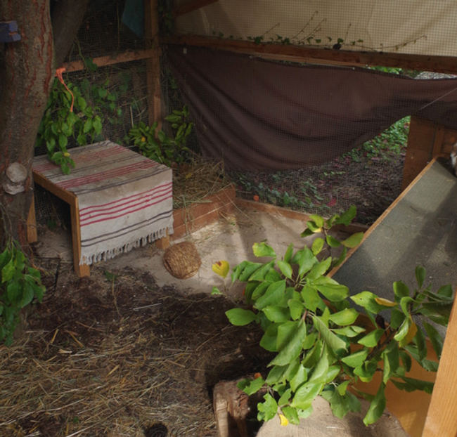 Kaninchen Außengehege