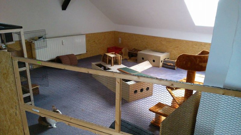 Kaninchenwohnungsgehege