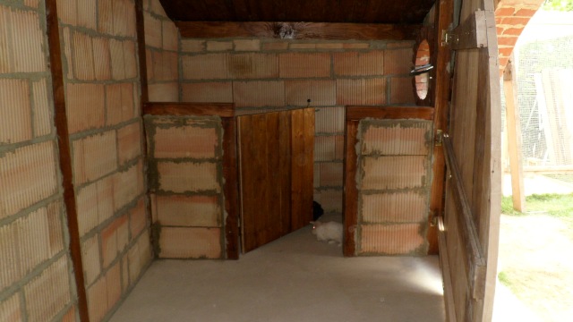 Kaninchen im Au&szlig;engehege