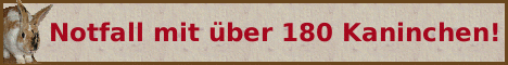 &Uuml;ber 180 Kaninchen brauchen Hilfe!