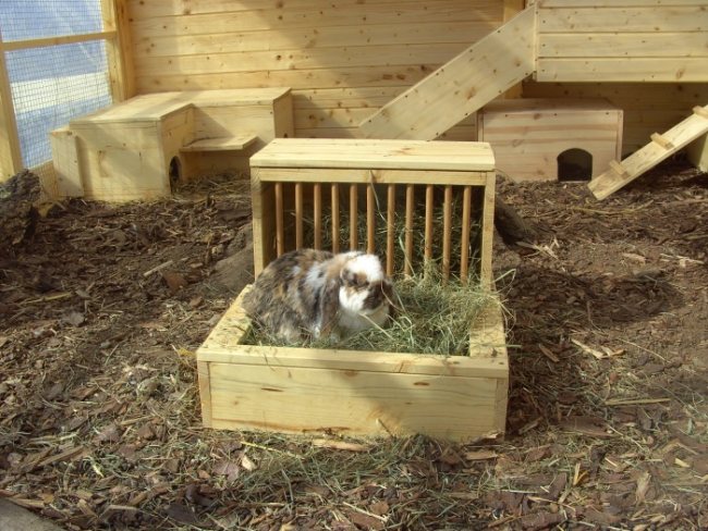 Kaninchen Gehege