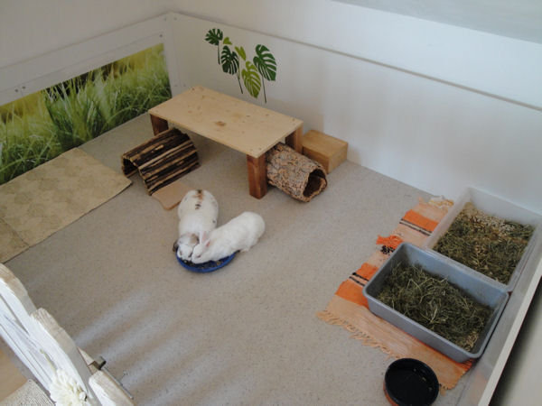 Wohnungsgehege Kaninchen