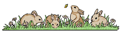Kaninchen auf Wiese