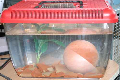 Miniaqua