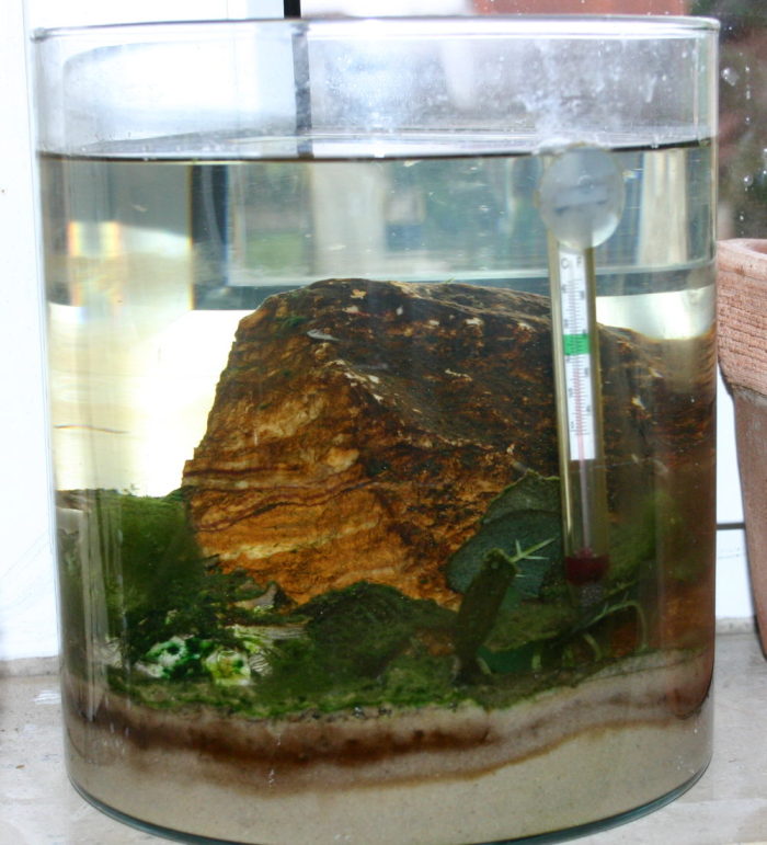 Artemienvase