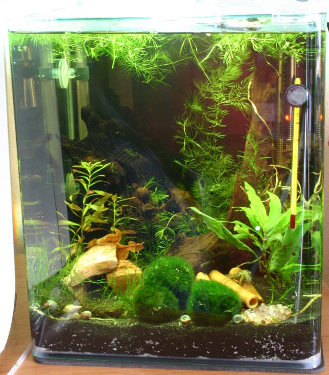 Aquarium