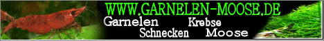 Aquarienforum